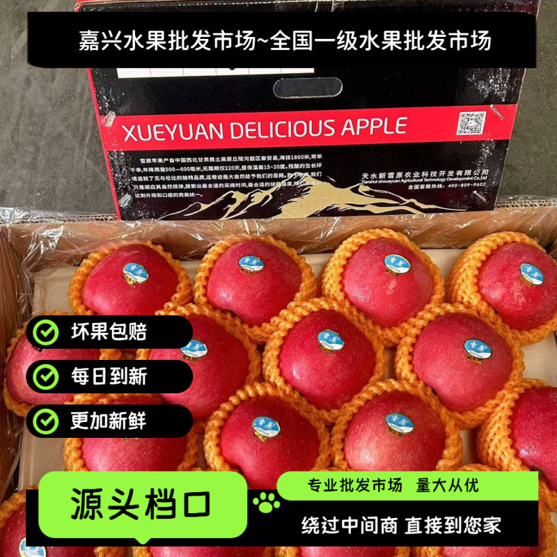 嘉兴一级水果批发市场 雪原苹果原箱整件高原红富士苹果脆甜直发