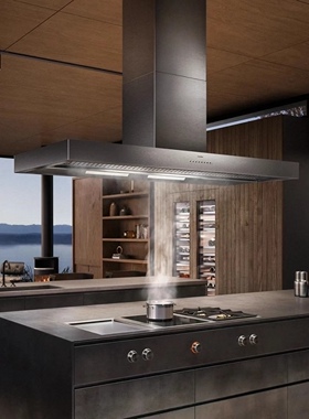 Gaggenau嘉格纳油烟机AI442120CN德国进口400系列抽油烟机