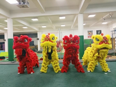 广东醒狮南狮羊毛狮舞狮