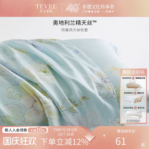 堂皇家纺兰精天丝枕套