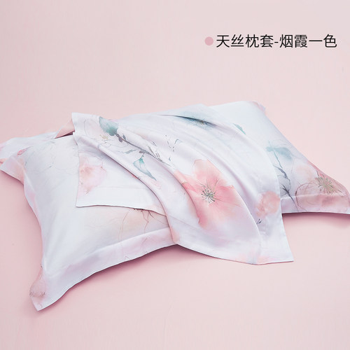 堂皇家纺兰精天丝枕套
