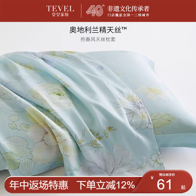 堂皇家纺兰精天丝枕套