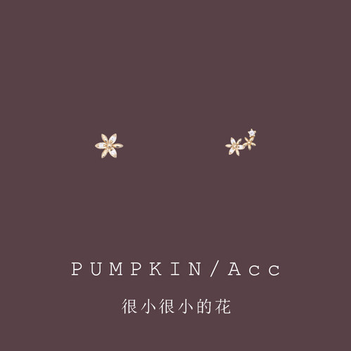 小巧无痛隐形耳夹无耳洞女