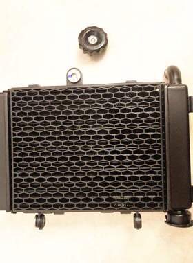 隆鑫新款无极防赛配件LX300GSBD冷却水箱300RRAC散热器风扇水冷器