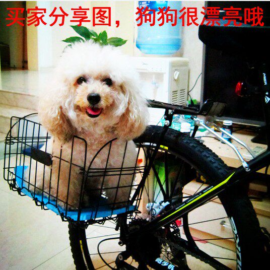 Panier pour vélo en métal - Ref 2257663 Image 1