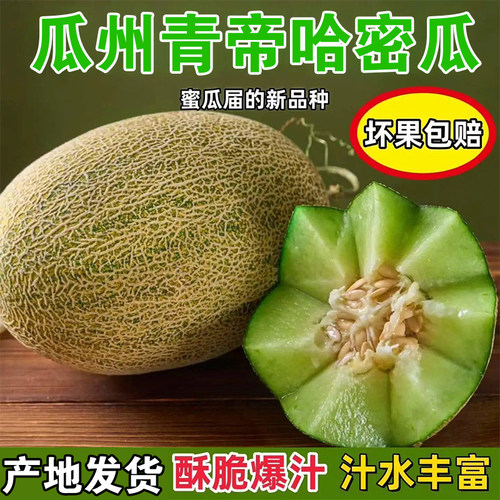 甘肃瓜州正宗青帝蜜瓜脆甜哈密瓜