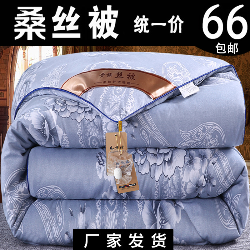 旗舰桑丝被子冬被加厚丝棉被芯春秋冬天太空被冬季双人被褥子保暖