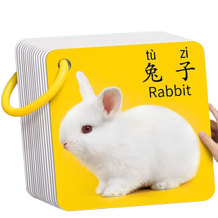 动物卡片认知早教儿童识字看图识物启蒙书婴幼儿宝宝一岁益智玩具
