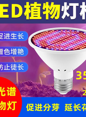 LED植物灯补光全光谱红蓝光植物生长灯E27盆栽花卉种植E14灯杯