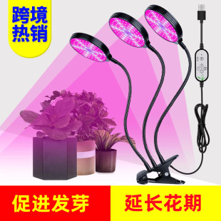 LED植物灯低压60w红蓝光谱植物生长灯USB款5V防水盆栽补光灯定时