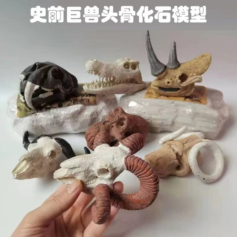 史前巨兽头骨化石儿童手工礼物