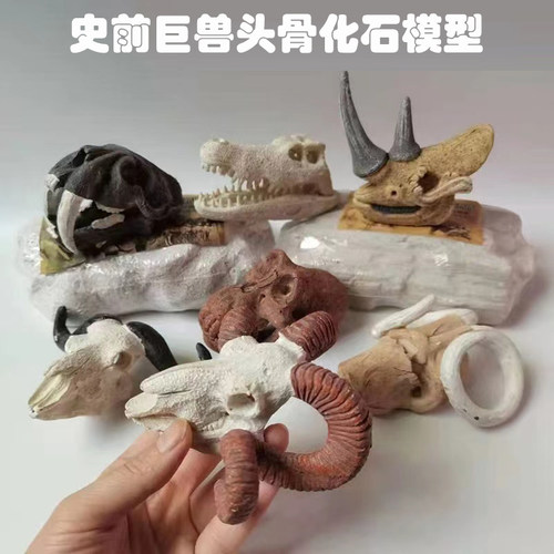 史前巨兽头骨化石儿童手工礼物