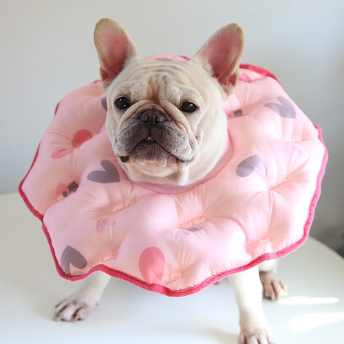 宠物防舔伊丽莎白脖圈