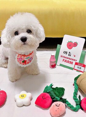 Ins风韩国小草莓盆栽套装藏食BB叫拉扯玩具狗狗宠物发声嗅闻棉绳