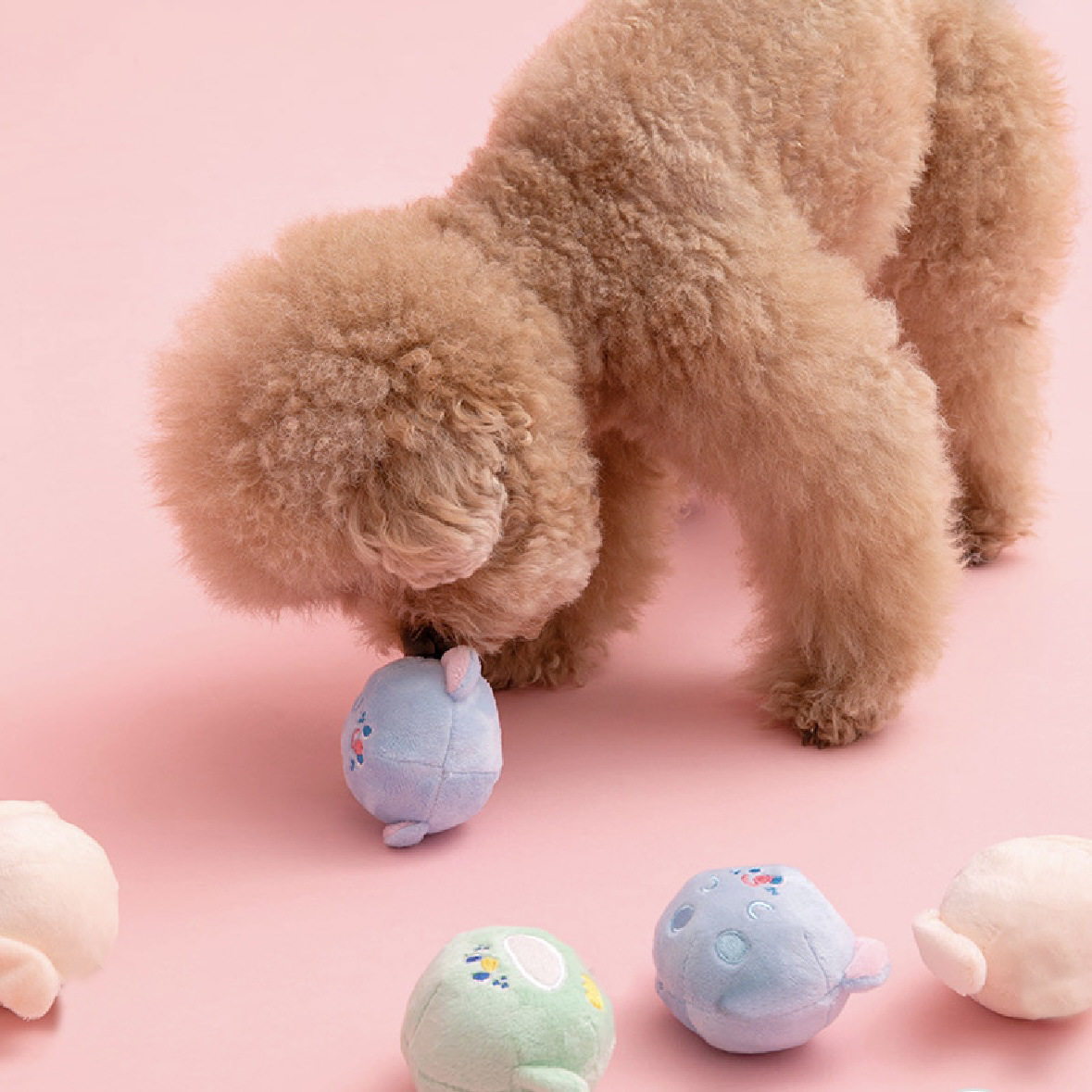 宠物发声bb器叫声可爱小狗造型闻嗅藏食发声玩具比熊泰迪小型犬球