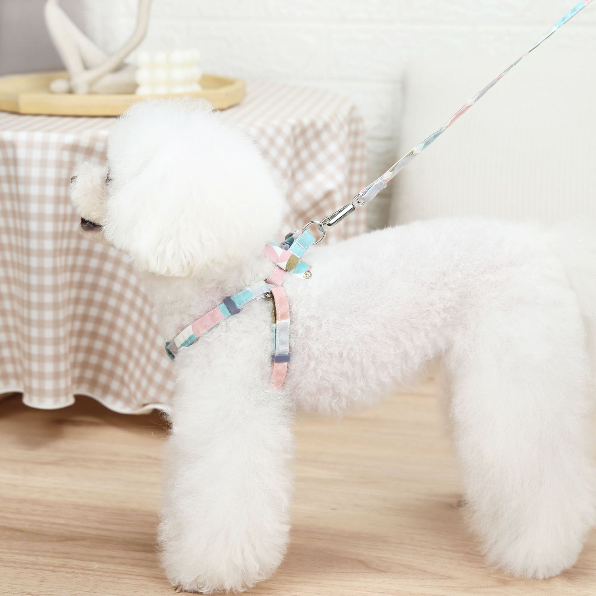 小仙女款裙子全棉宠物猫胸背带