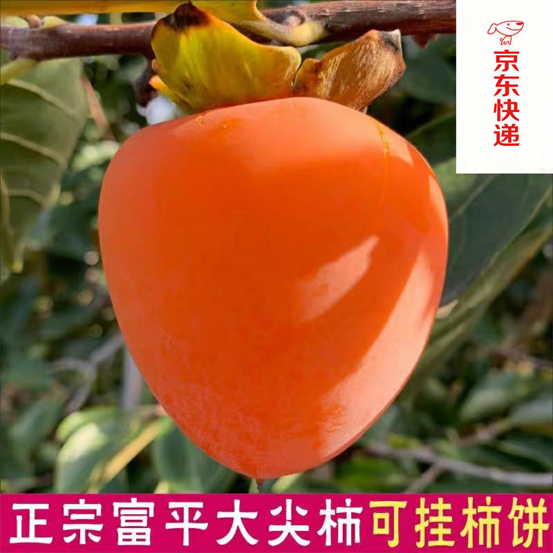 京东快递陕西富平大尖柿