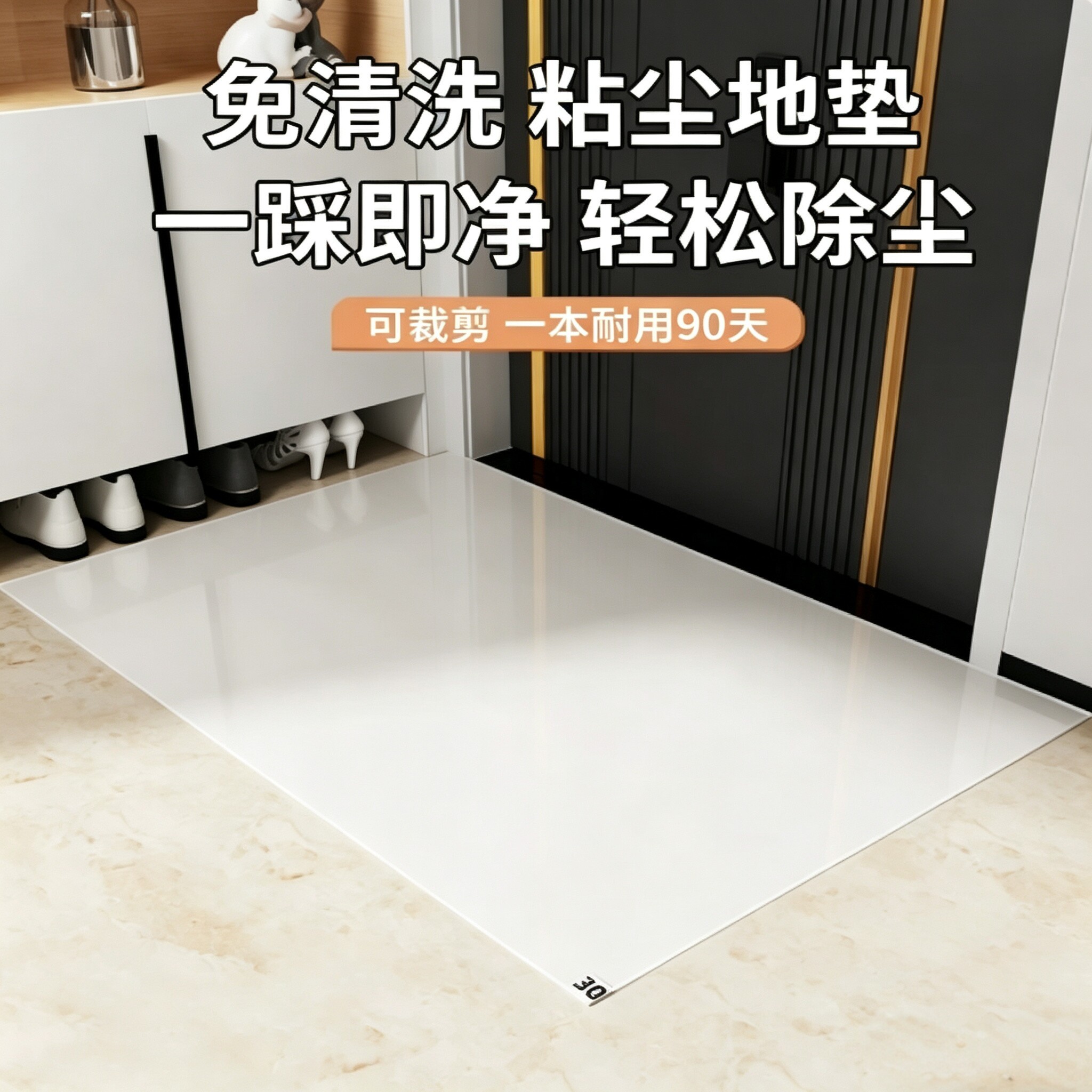 一次性粘尘入户门地垫耐脏易清洁图片