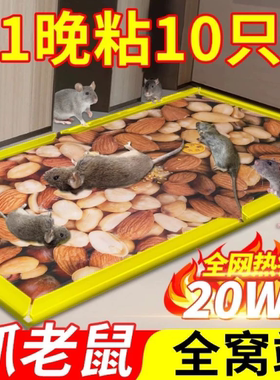 强力粘鼠板家用灭鼠神器