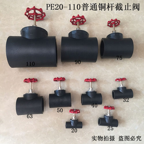 PE截止阀20/25/32 外升降式铜杆铁芯阀门pe给水管配件开关 pe闸阀