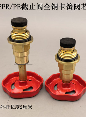 热卖PPR截止阀阀芯4分6分1寸精品PE卡簧截止阀铜杆铜芯内升降阀芯