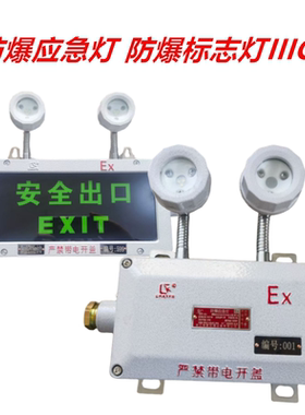 防爆应急灯防爆标志灯IIIC级安全出口指示灯LED消防加油站疏散灯