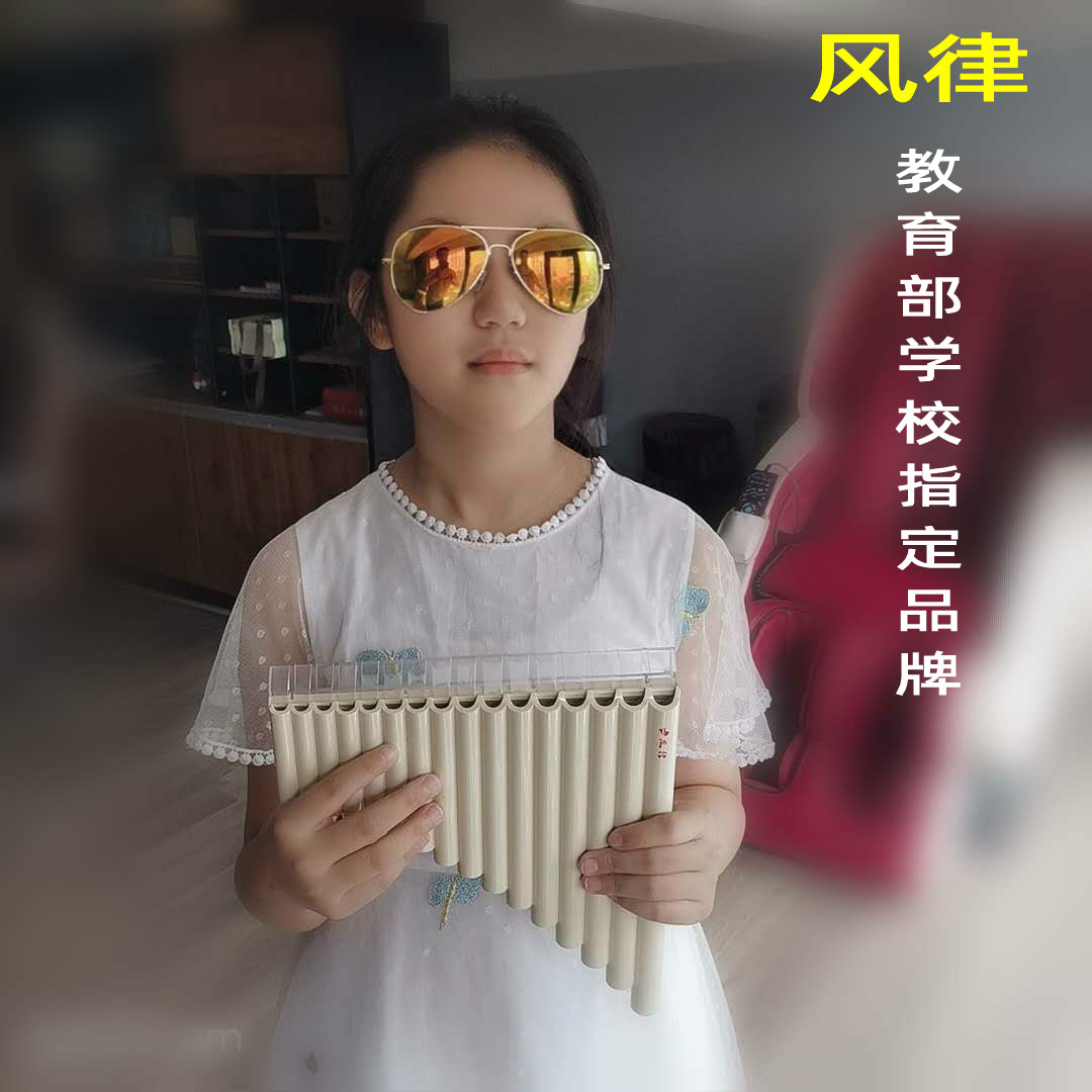 风律牌易学排笛 16管18管学生教学专用排箫初学者入门c调排笛乐器
