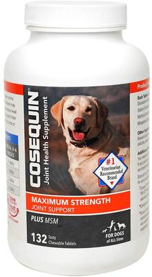 Cosequin Maximum Strength Joint Supplement Plus MSM - With G