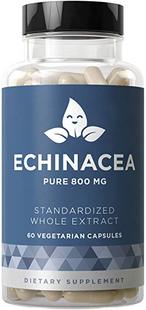 – Healthy ECHINACEA Function 800 Immunity Physical Pure
