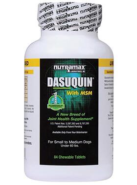 Nutramax Dasuquin with MSM Chewables