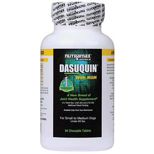 Nutramax Dasuquin with MSM Chewables