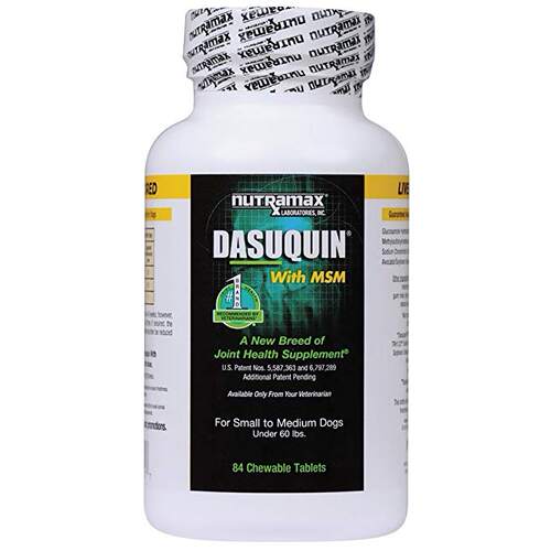 Nutramax Dasuquin with MSM Chewables