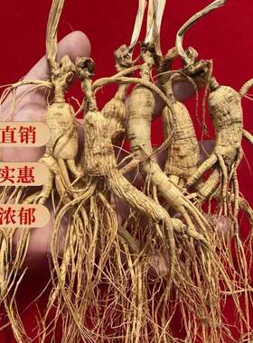 人参山参残参林下参微残移山参吉林长白山人参干参趴货泡酒煲汤