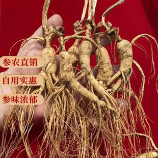 人参山参残参林下参微残移山参吉林长白山人参干参趴货泡酒煲汤
