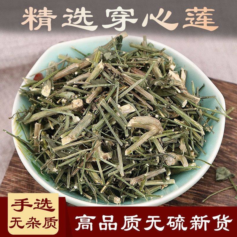 穿心莲 无硫中药材 野生穿心莲干苦胆草一见喜四方草 凉茶料 包邮