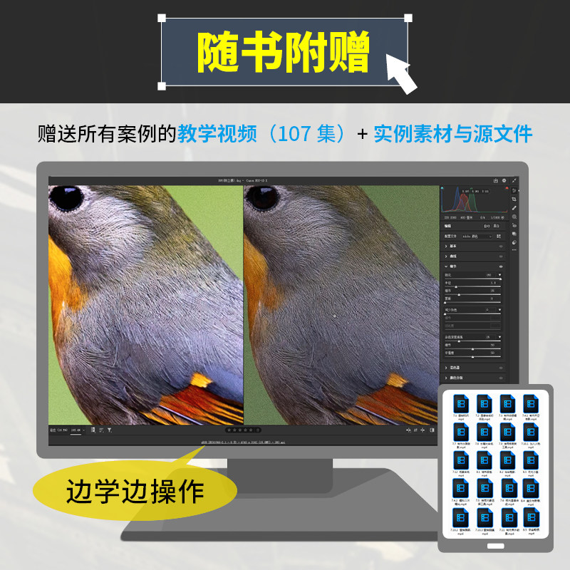 光影之书 photoshop camera raw摄影后期与创意合成