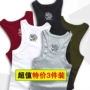 Áo vest nam cá tính cotton thanh lịch Mùa hè mỏng mồ hôi vest nam thể hình bó sát thể thao bó sát - Lót áo ba lỗ nam