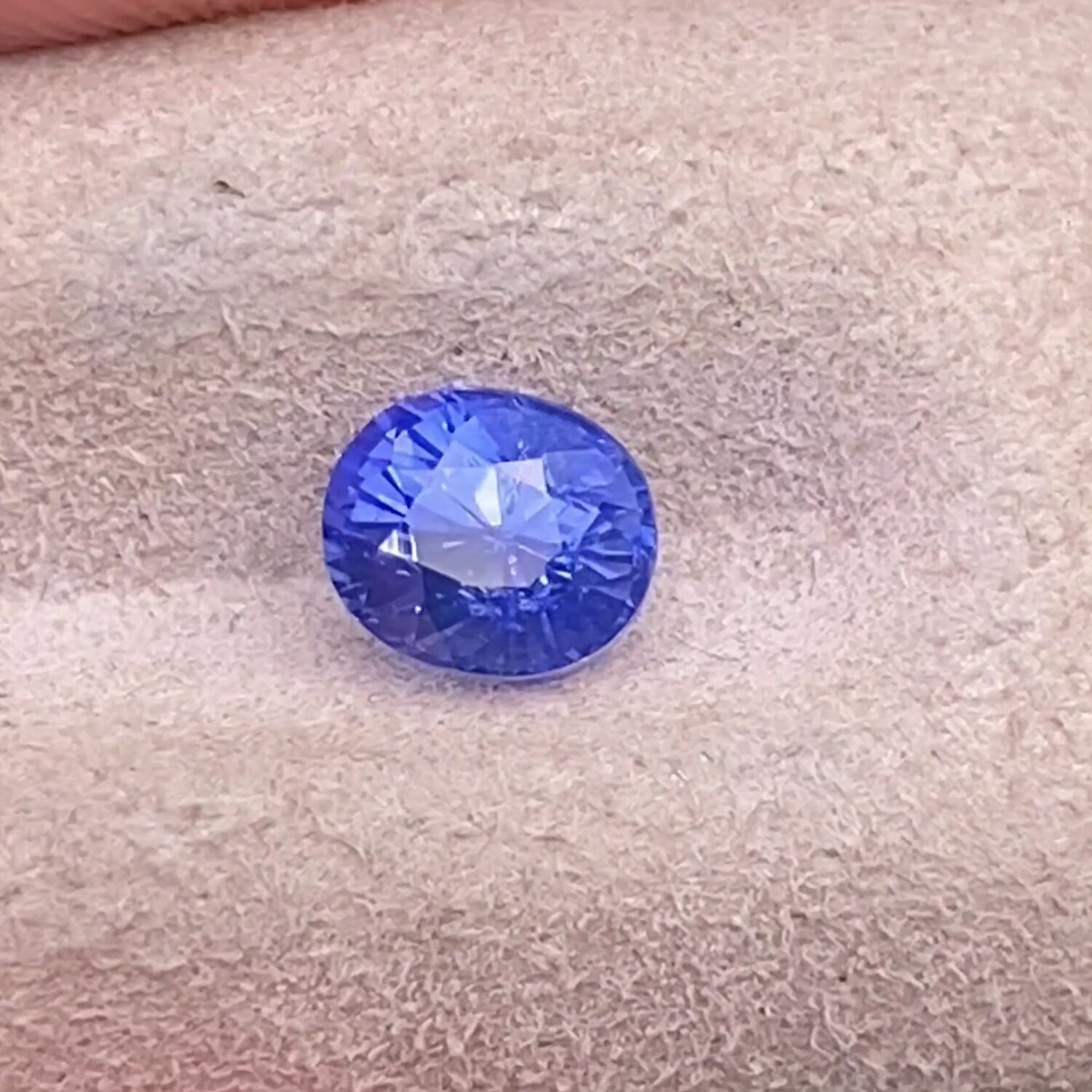 矢车菊蓝宝石裸石 1.09克拉 天然椭圆 戒面散珠