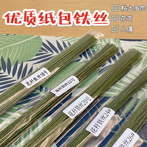 【红豆粘土】优质纸包铁丝花杆 粘土花艺粘土多肉人偶用纸包铁丝 - 封面