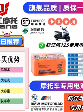 适用于钱江QJ鸿125/鸿150ADV鸿250/鸿350/踏板原厂12V大容量通用
