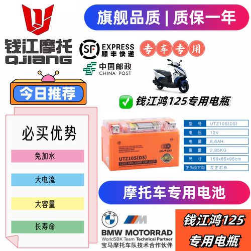 钱江鸿系列踏板专用摩托车电瓶