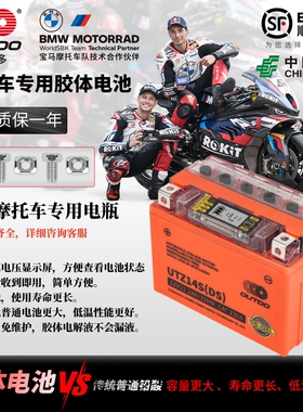 摩托车电瓶原厂光阳CT250赛艇S400劲丽125弯道情人150锂电大容量