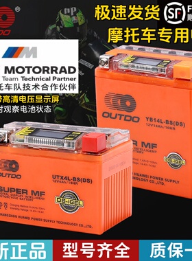 用于本田GL1800金翼F6B F6C凯旋火箭3哈雷戴娜豪雅电瓶GYZ20L电池