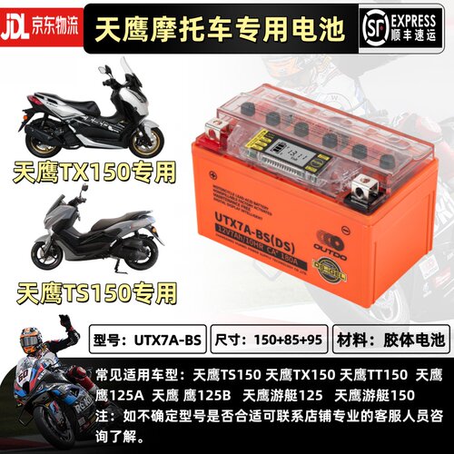 天鹰TX150 TS150 TT150 TT250原厂踏板摩托车通用电瓶锂大容量12V