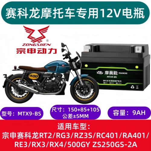 宗申赛科龙RG3/RE3/RX3/RX4/RC401/RT2踏板电瓶通用锂免维护9A11A