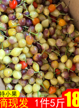 广西特产七彩辣椒新鲜五彩椒现摘小辣椒泡灯笼椒特小五色椒小果