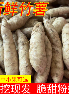 农家新鲜竹薯现挖竹芋当季冬粉薯凉粉薯时令京东薯根茎薯煲汤火锅