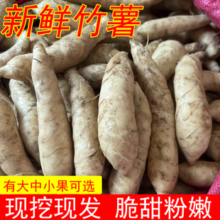 农家新鲜竹薯现挖竹芋当季冬粉薯凉粉薯时令京东薯根茎薯煲汤火锅