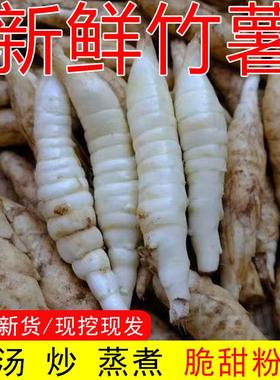 农家新鲜竹薯现挖竹芋冬粉薯当季京东薯凉粉薯根茎薯煲汤火锅现货