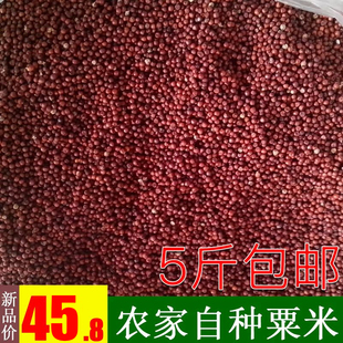 农家红粟米鸭爪粟新鲜拳头粟红小米穇子五谷杂粮可磨粉当生小米